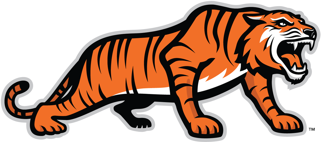 RIT Tigers 2004-Pres Alternate Logo v3 diy DTF decal sticker